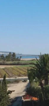 Casa rural en Cv-853, 853 - Foto 11