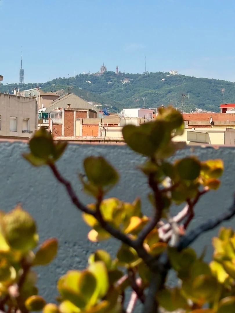 Piso en Calle mare de deu de les neus, 35, Vilapicina i la Torre Llobeta - Foto 39