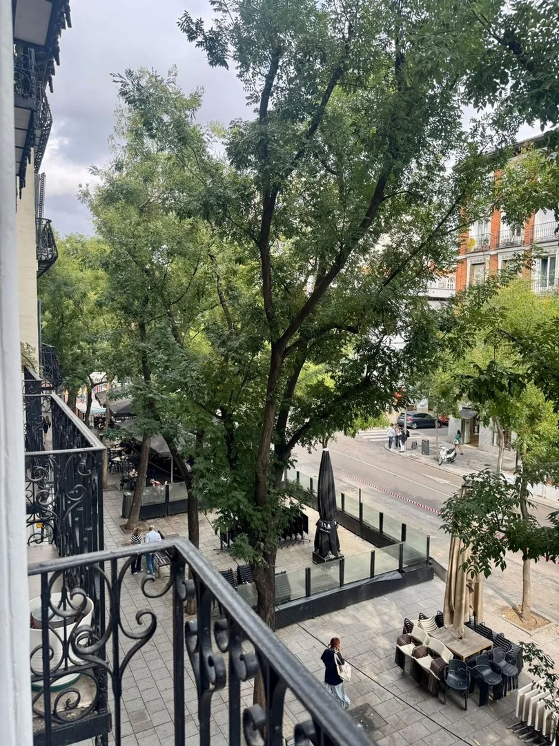 Piso en Calle de Fuencarral, 141, Trafalgar - Foto 21