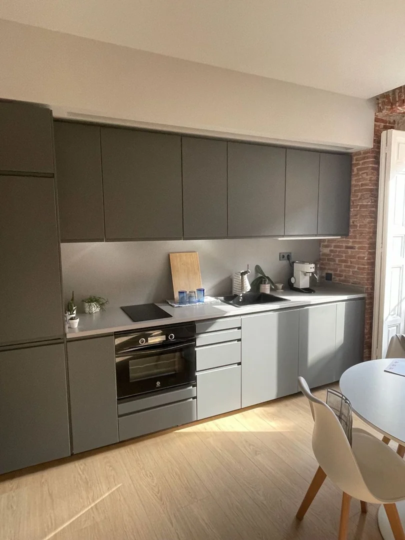 Estudio en Calle de Embajadores, 31, Lavapiés-Embajadores - Foto 12