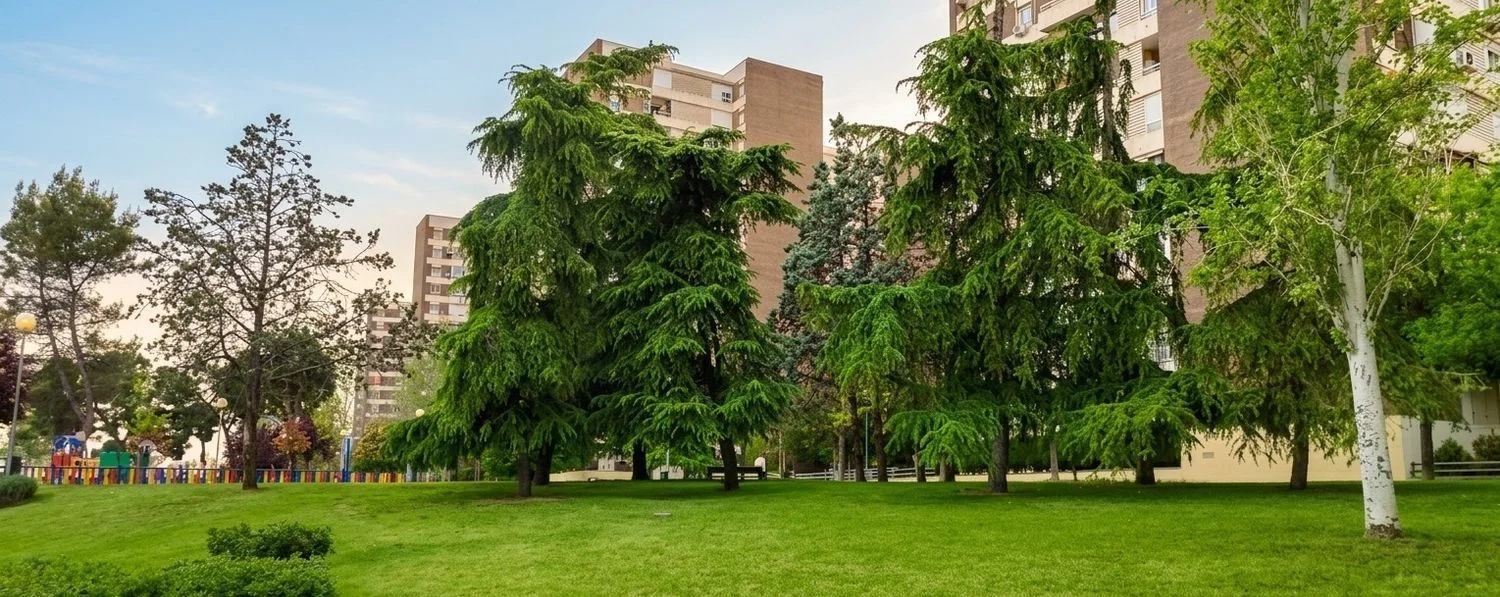 Piso en Barrio Pilar - Foto 18