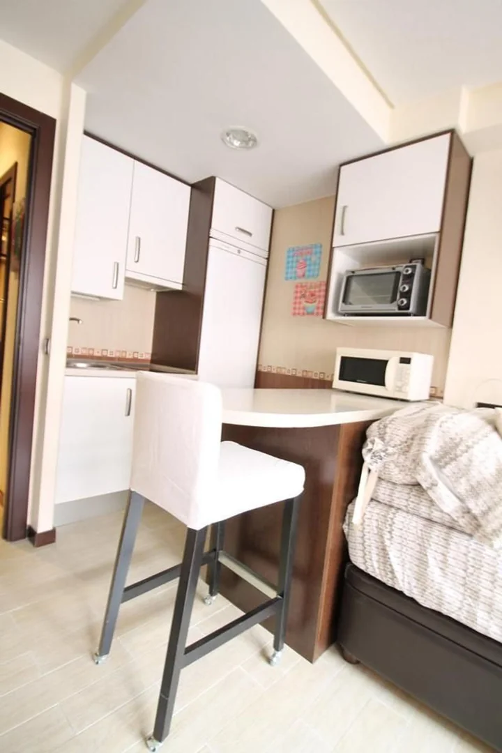 Estudio en Calle de Juan Álvarez Mendizábal, Argüelles - Foto 3