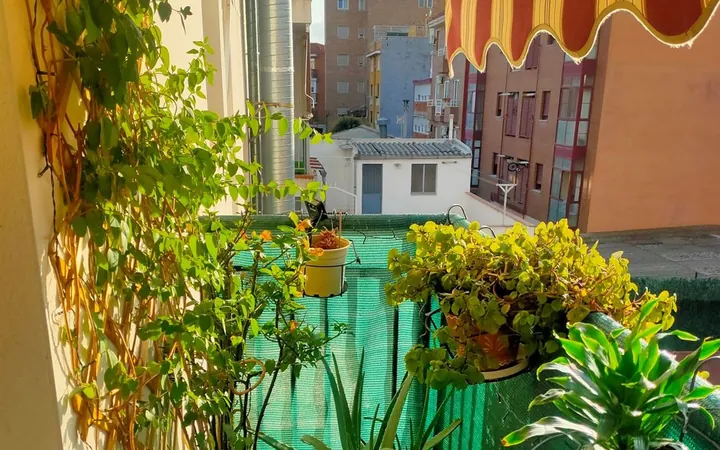 Piso en San Deogracias, 32, Buena Vista - Foto 17