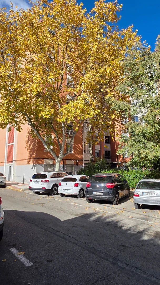 Piso en calle Ocho, 5 - Foto 4