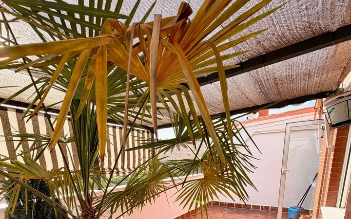 Ático en Euskalduna, 23, Butarque - Foto 4