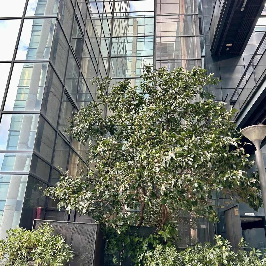 Dúplex en avenida de Manoteras, 8 - Foto 15