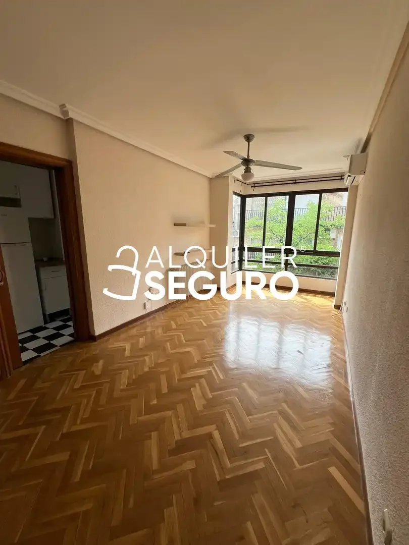 Piso en  Francisco Navacerrada - Foto 3