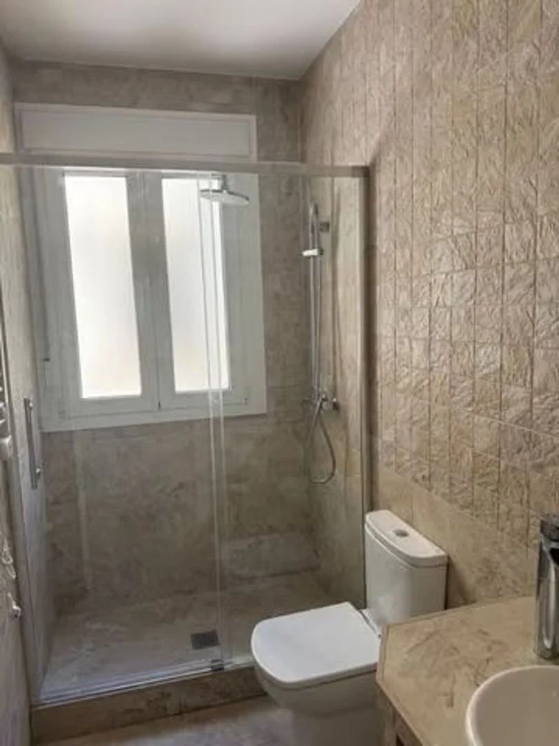 Ático en Calle de Fernando el Católico, 23, Arapiles - Foto 3