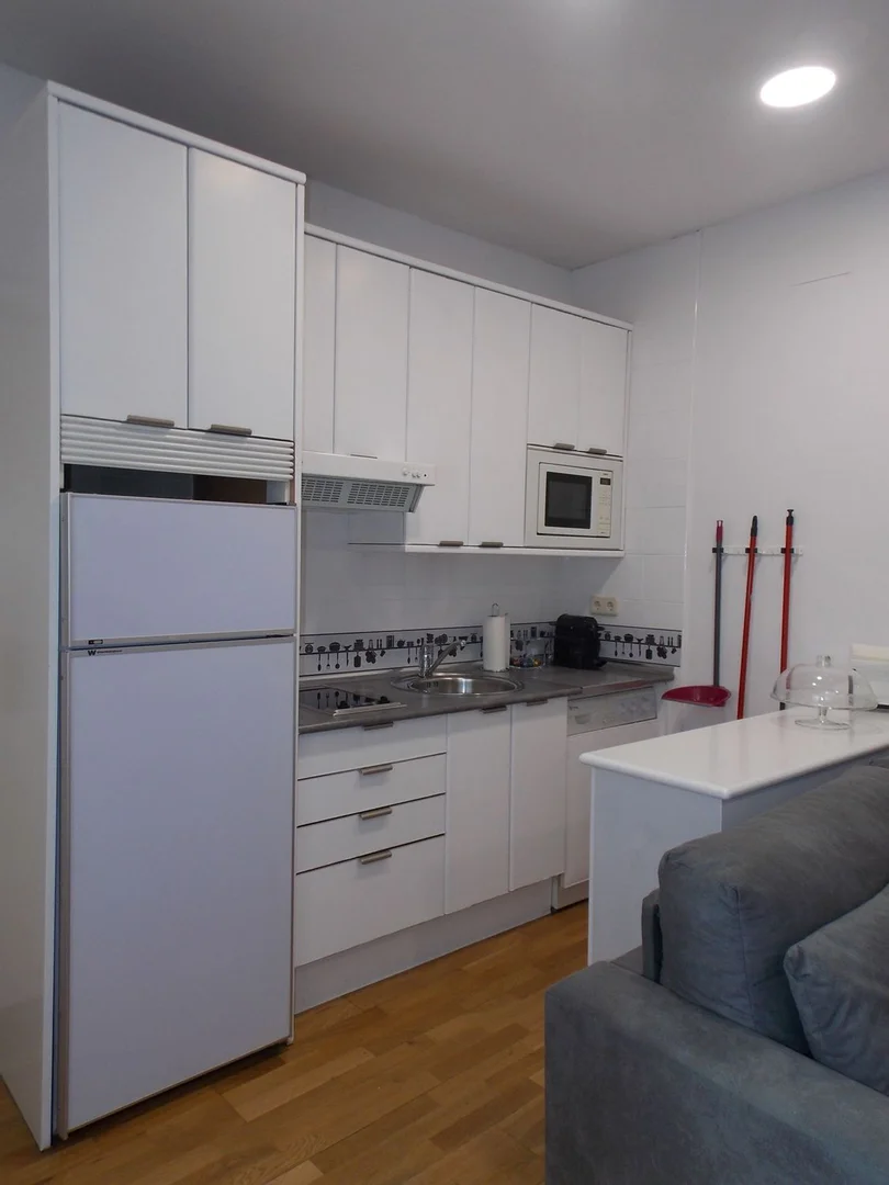 Piso en calle del Monte Esquinza, 7 - Foto 16