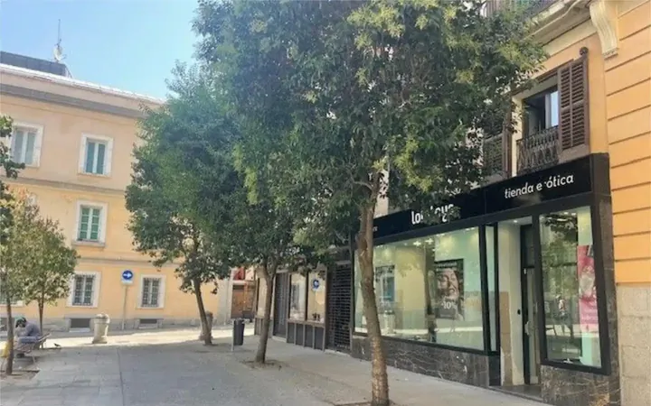 Local comercial en  Calle del Marqués Viudo de Pontejos 1 - Foto 4