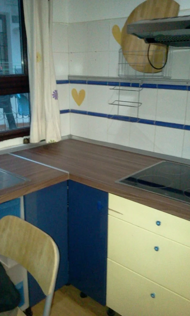Estudio en Calle Buenavista, 44, Lavapiés-Embajadores - Foto 15