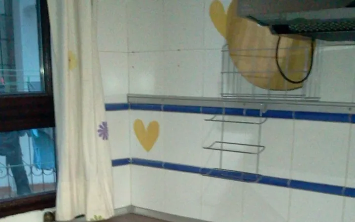 Estudio en Calle Buenavista, 44, Lavapiés-Embajadores - Foto 15
