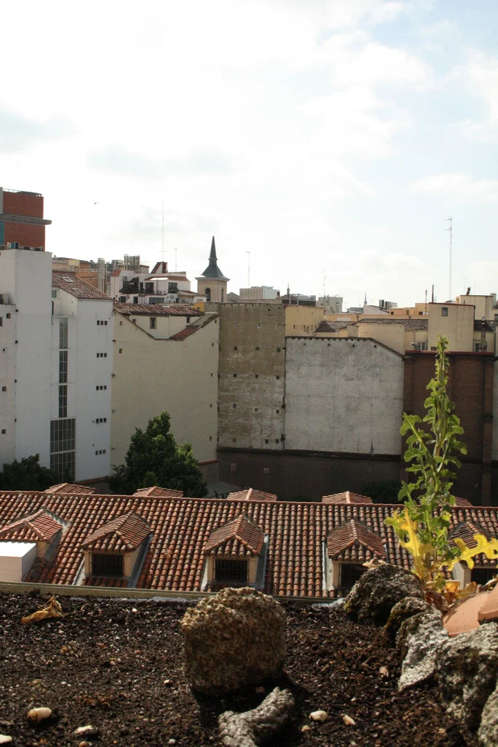 Alquiler de ático en Calle Postigo de San Martín, 5 - Foto 5