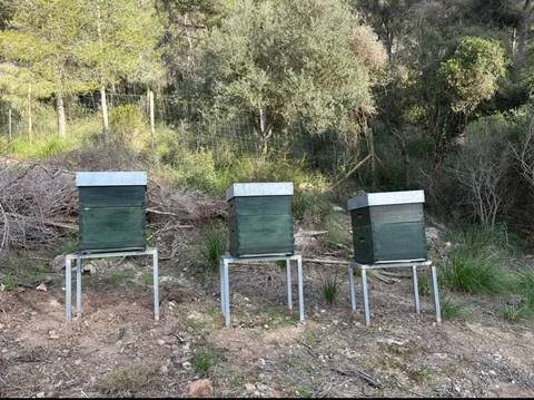 Finca rústica en Son Servera - Foto 8