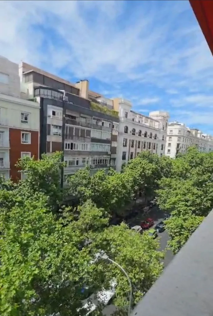 Piso en Calle de José Abascal, 57, Almagro - Foto 13