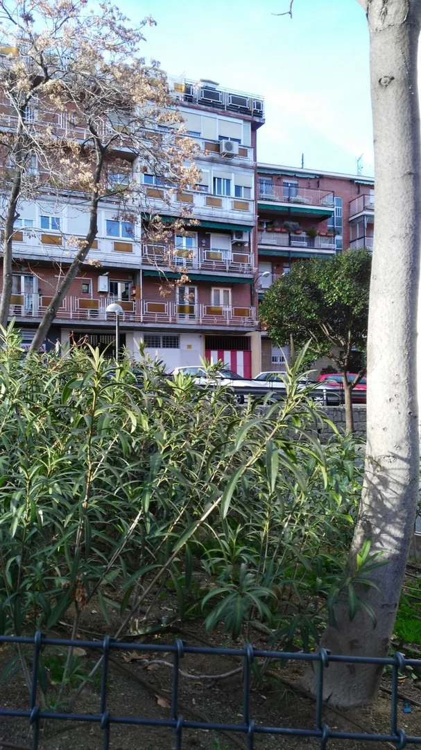 Estudio en Calle de Oltra, 2, Guindalera - Foto 6