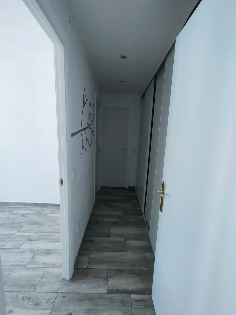 Estudio en calle Canoa, 16 - Foto 5