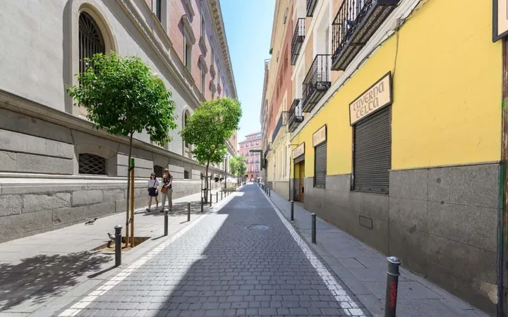 Piso en Calle de San Vicente Ferrer, 15, Malasaña-Universidad - Foto 46