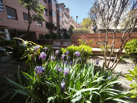 Piso en calle de Antonio López, 217 - Foto 57