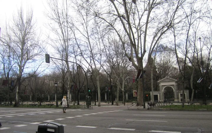Piso en Calle del Gobernador, 31, Huertas-Cortes - Foto 29
