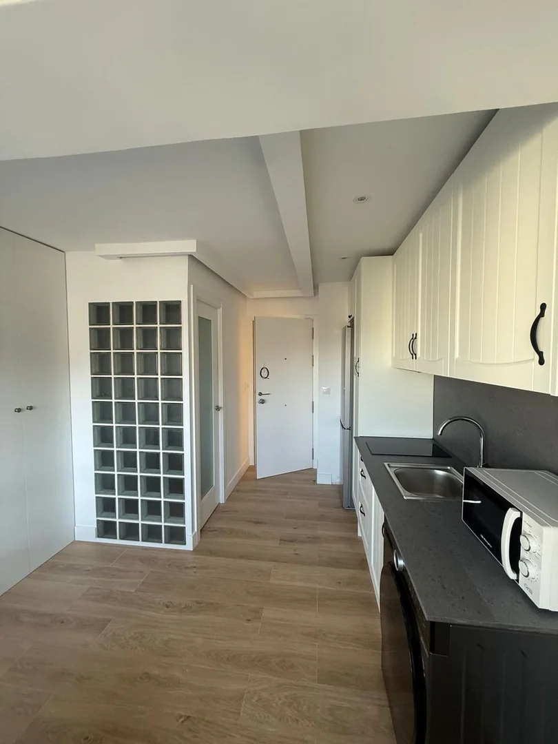 Estudio en calle Magnesia, 27 - Foto 1