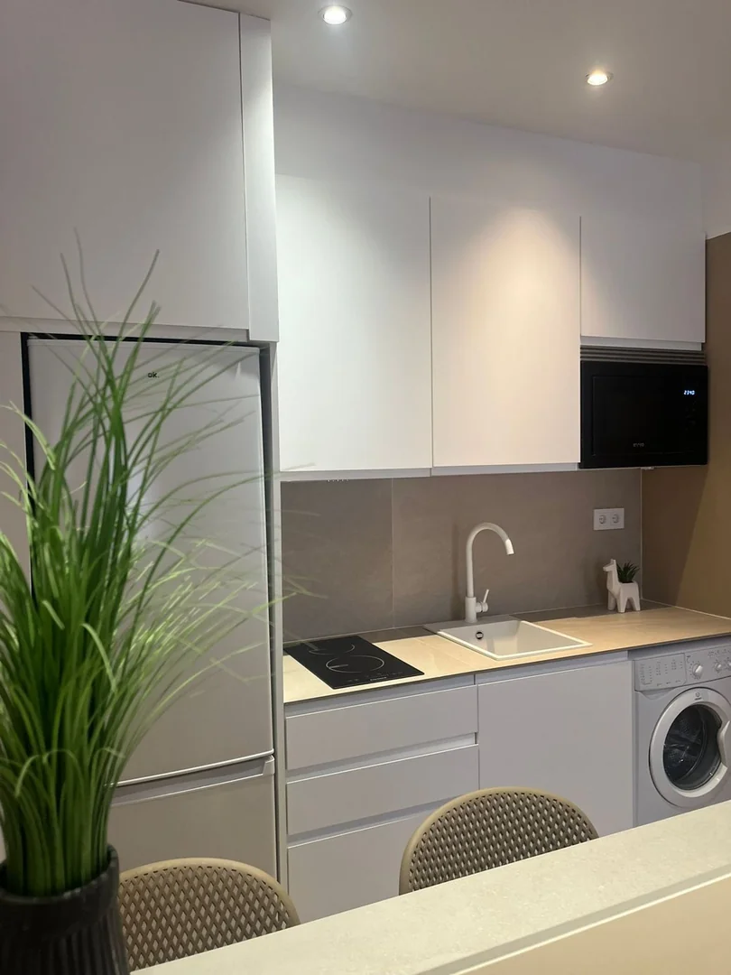 Estudio en Numancia - Foto 12
