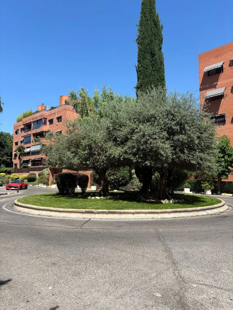 Piso en Calle de Doña Juana I de Castilla, 24 - Foto 41
