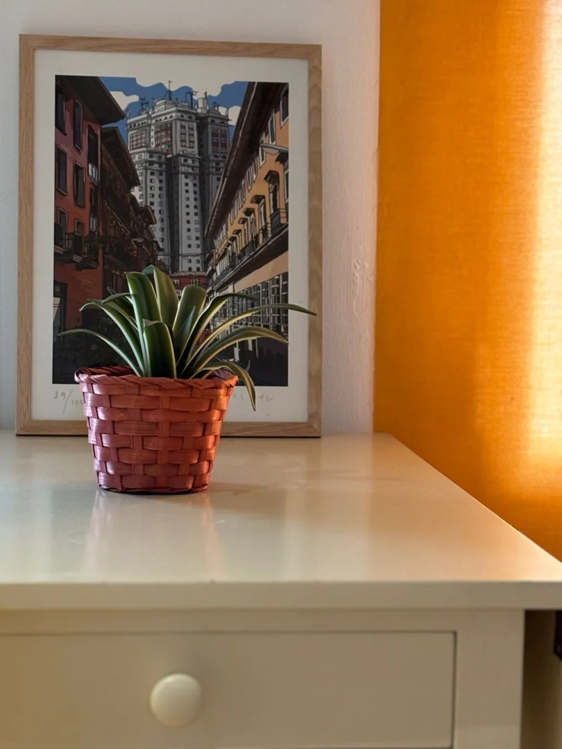 Estudio en calle de Hortaleza, 56 - Foto 10