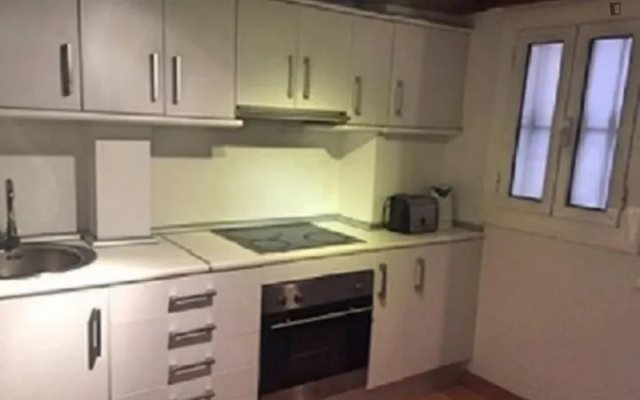Estudio en Calle d'En Cortines, Sant Pere - Santa Caterina i la Ribera - Foto 14