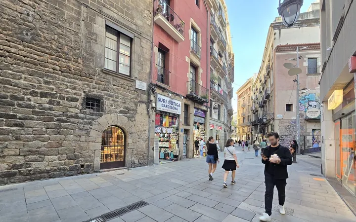 Piso en Calle d'en Roca, 2, El Gòtic - Foto 26