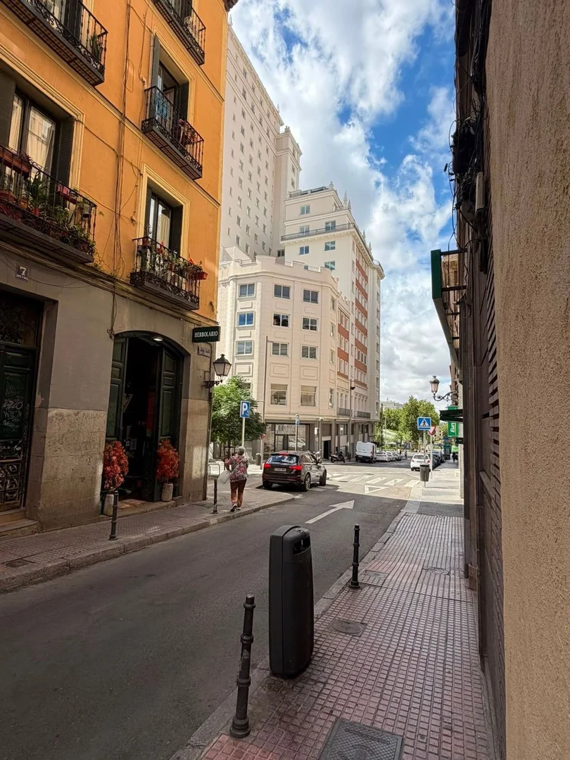Piso en Calle de San Bernardino, 7, Malasaña-Universidad - Foto 7