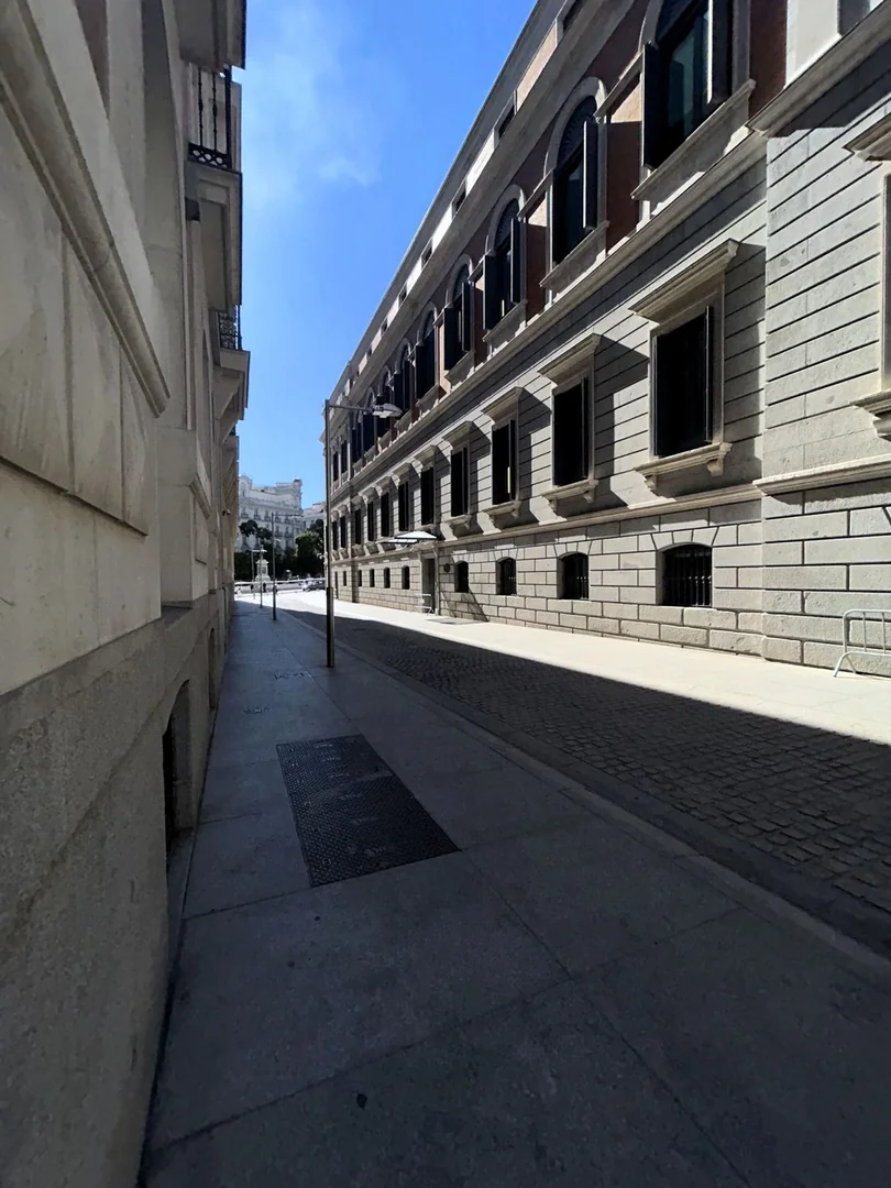 Ático en Plaza de las Cortes, 6, Huertas-Cortes - Foto 7