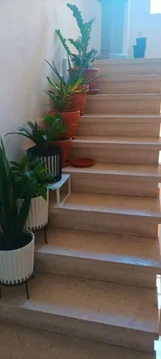 Piso en calle de Sicilia, 46 - Foto 58