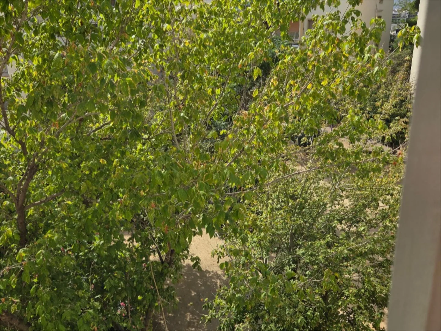 Piso en  Carrer del Treball 275 - Foto 78