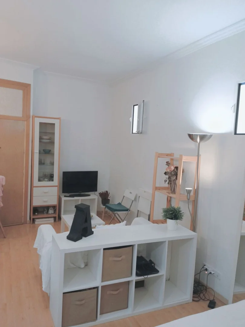 Estudio en Calle Feijoo, 11, Trafalgar - Foto 3
