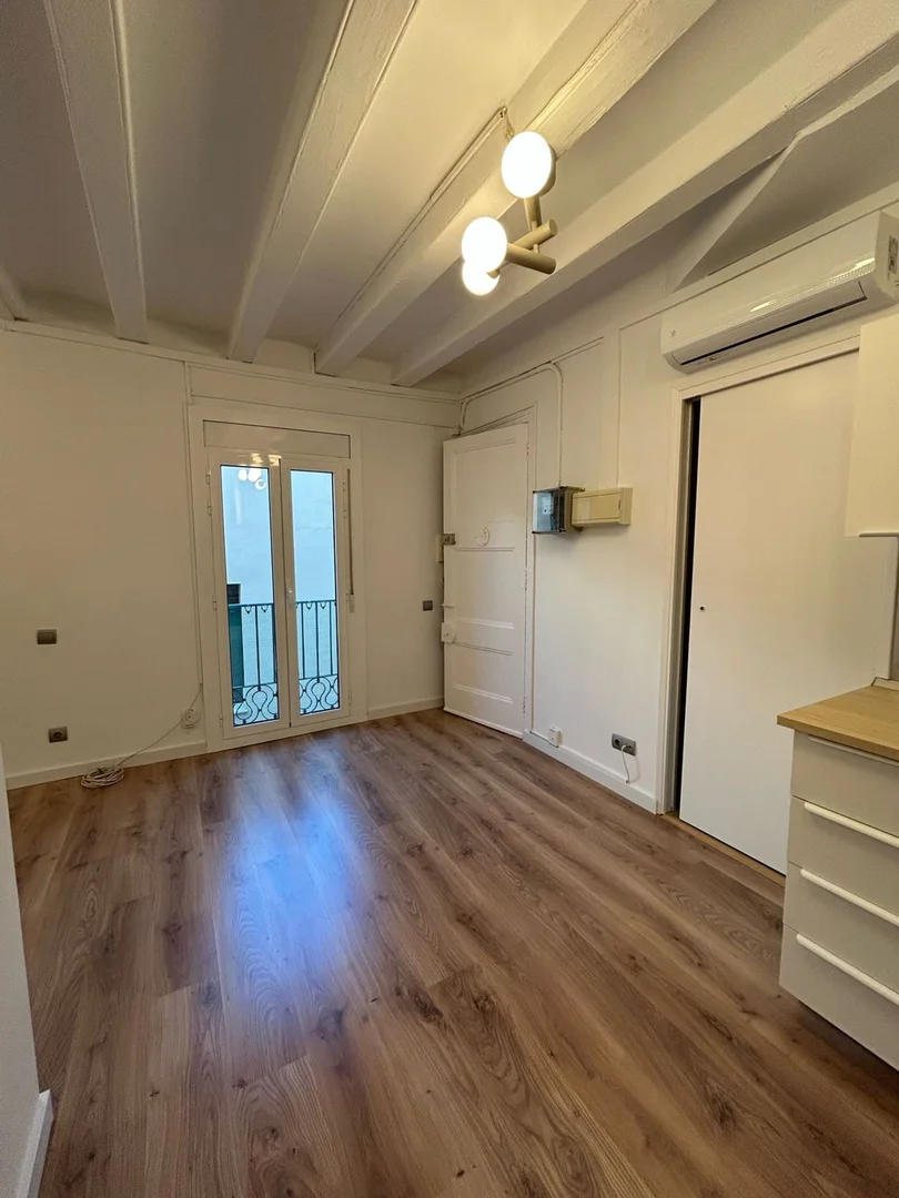 Estudio en calle d'En Mònec, 3 - Foto 6