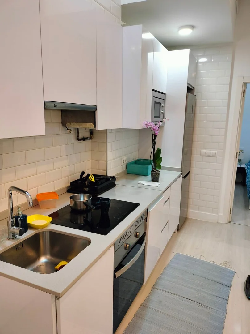 Piso en Calle de Eugenio Sellés, 10, Chopera - Foto 14