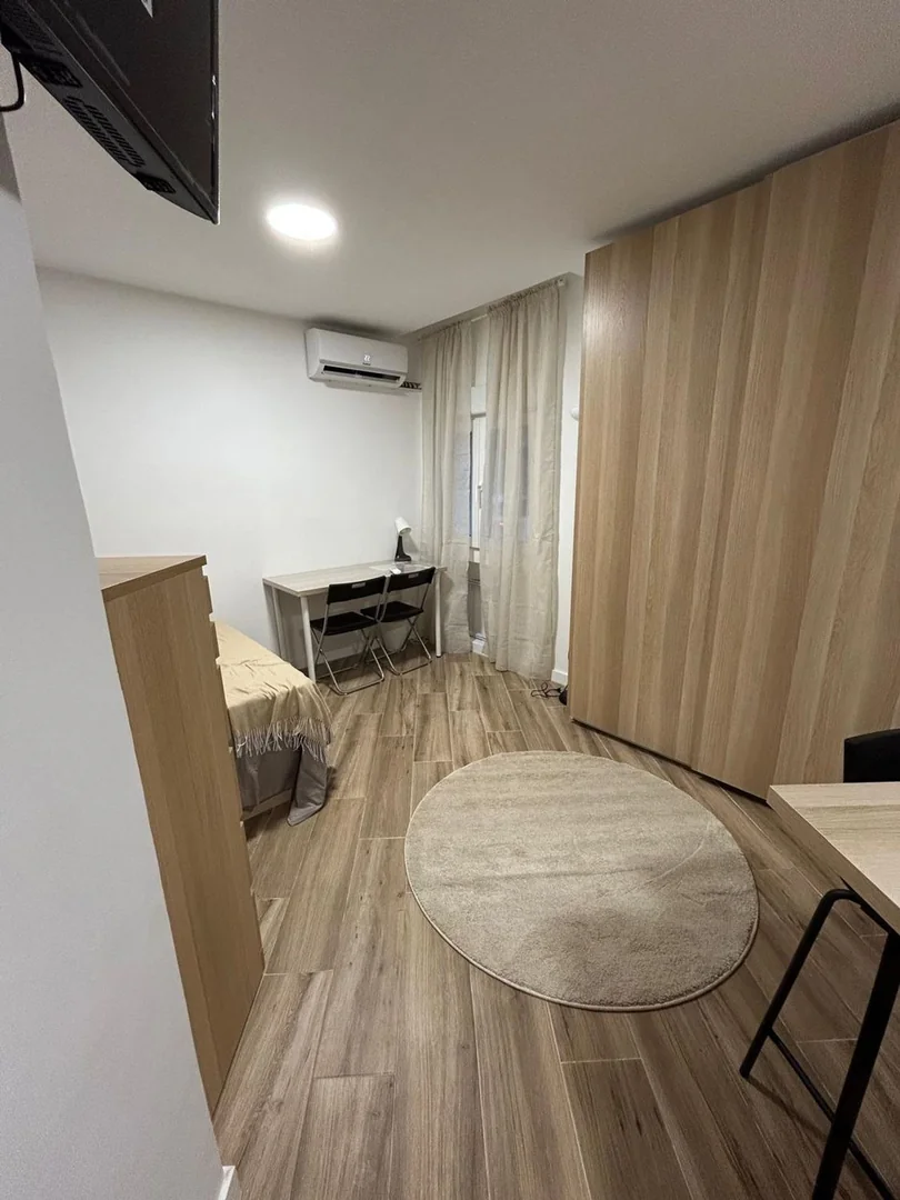 Estudio en Calle Castalia de Vallecas, 7, Numancia - Foto 5