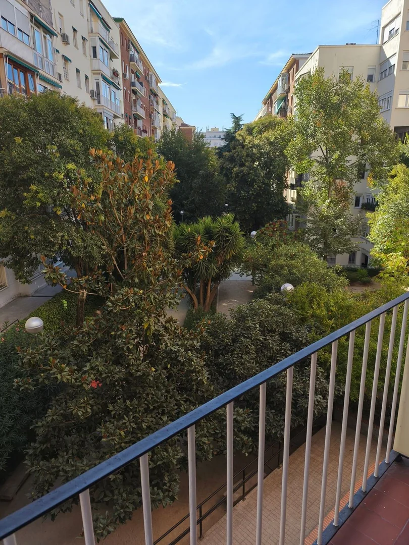 Piso en Paseo de San Francisco de Sales, 24, Vallehermoso - Foto 9
