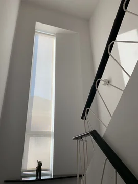 Casa independiente - Foto 35