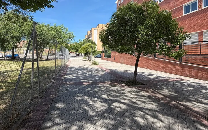 Piso en Calle del Cañón del Río Lobos - Foto 54