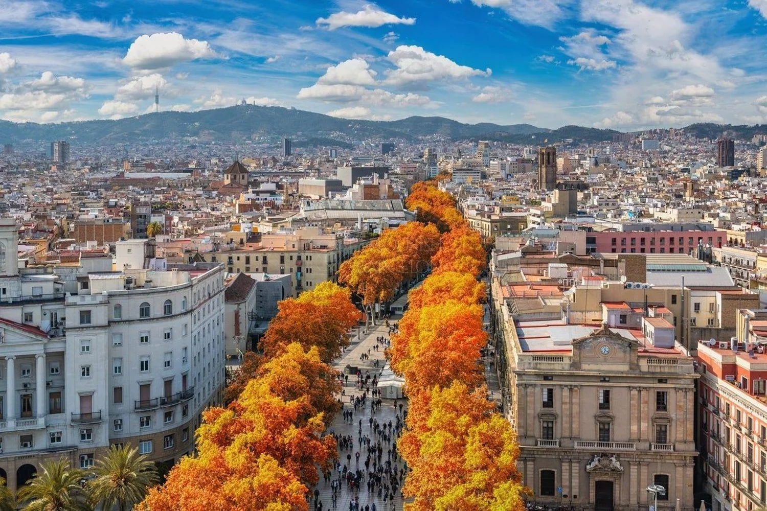 Piso en Avenida del Paral·lel, El Poble Sec - Parc de Montjuïc - Foto 33