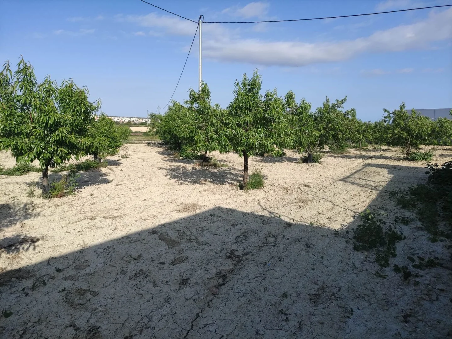 Finca rústica en casa rústica e Paraje Los Urreas 51 Losurreas, Murcia, 51 - Foto 24