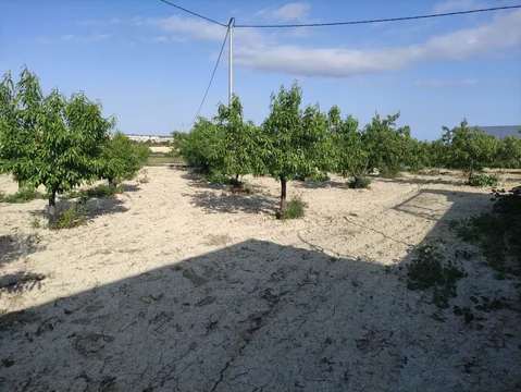 Finca rústica en casa rústica e Paraje Los Urreas 51 Losurreas, Murcia, 51 - Foto 24