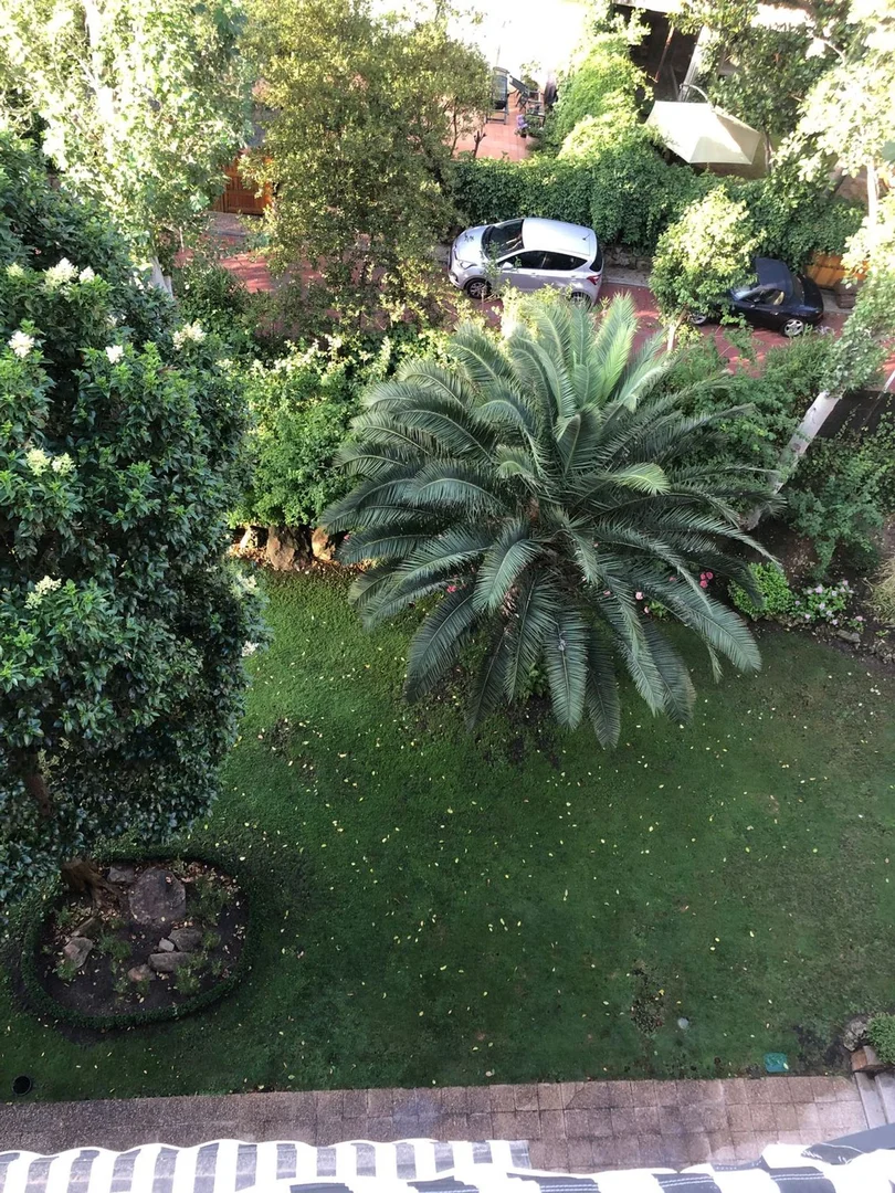 Piso en Barrio Ciudad Universitaria - Foto 25