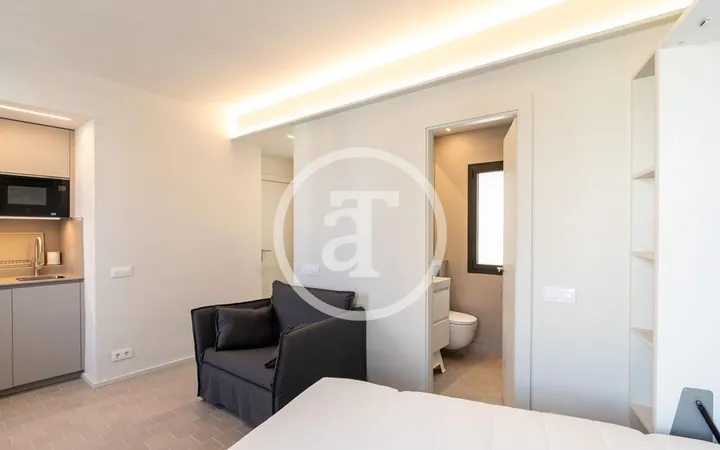 Estudio en Calle del Capitán Arenas, Pedralbes - Foto 14