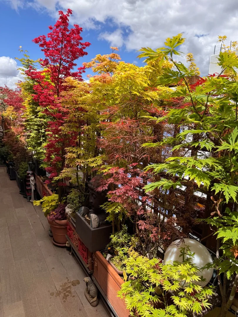 Dúplex en calle de San Romualdo, 35 - Foto 18