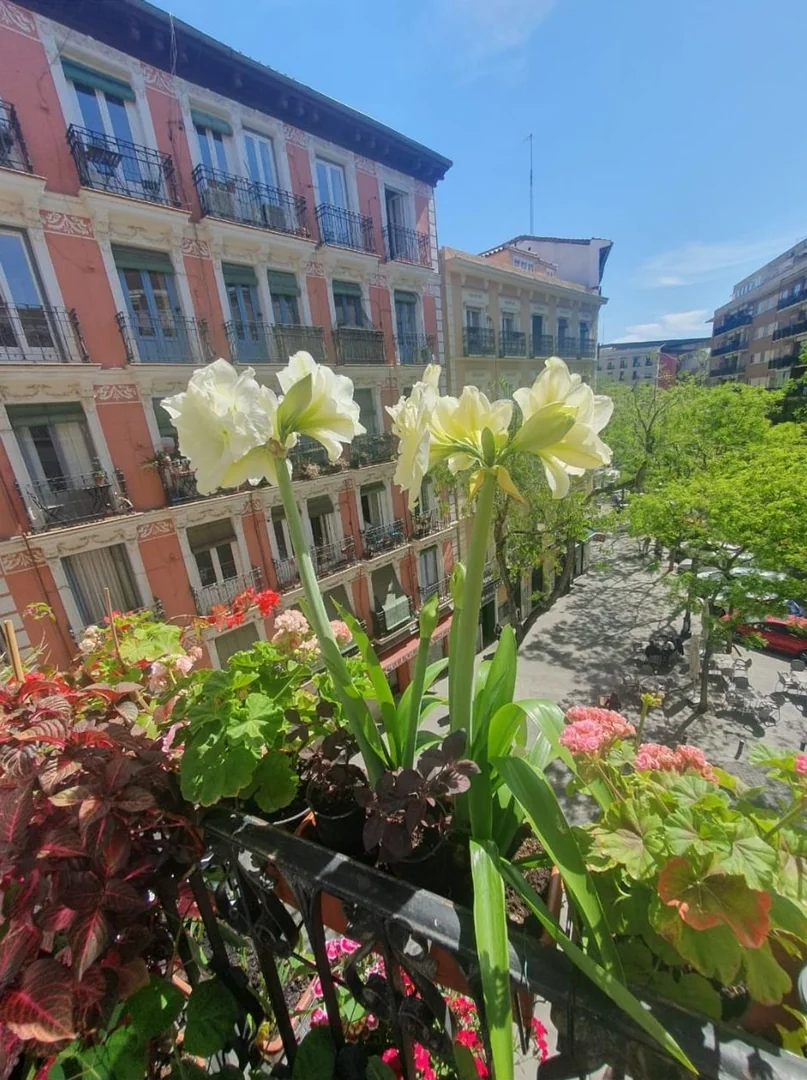 Piso en Lavapiés-Embajadores, Lavapiés-Embajadores - Foto 2