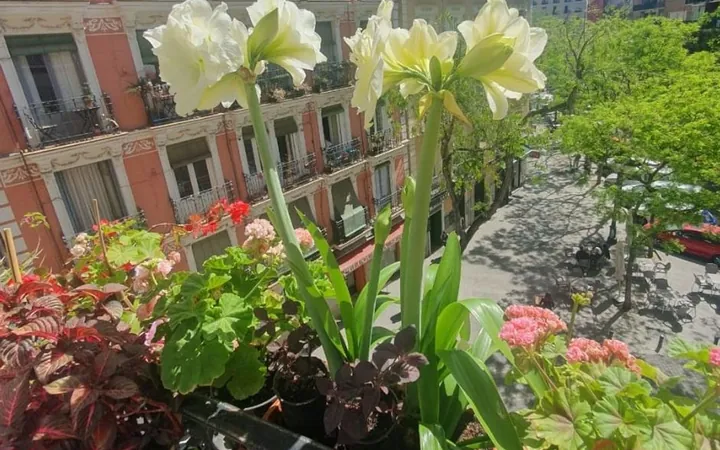 Piso en Lavapiés-Embajadores, Lavapiés-Embajadores - Foto 2
