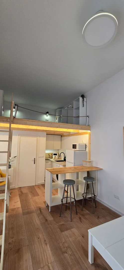 Estudio en Calle de Eugenia de Montijo, 51, Puerta Bonita - Foto 12